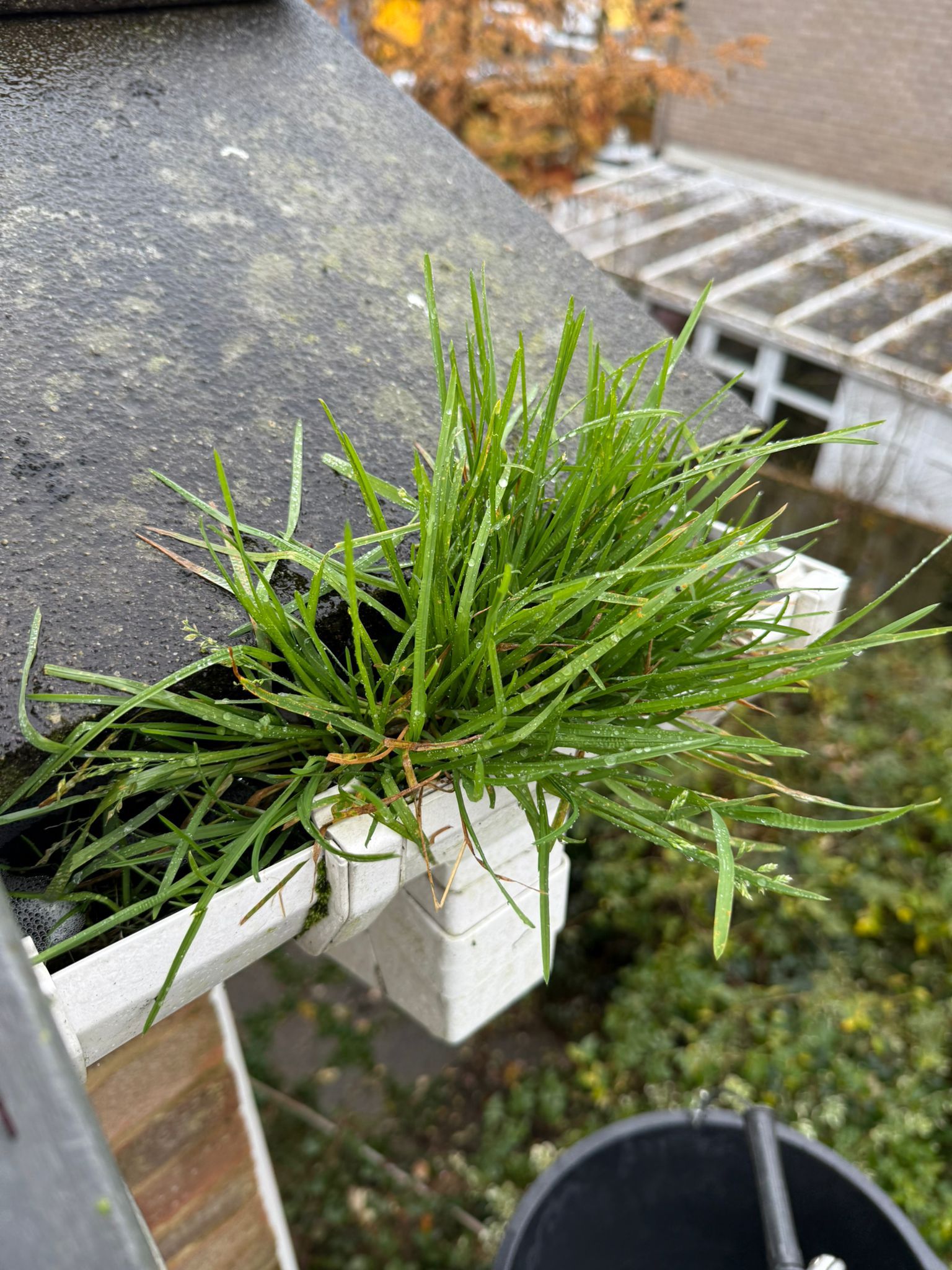 Blocked gutter downpipe in Didcot